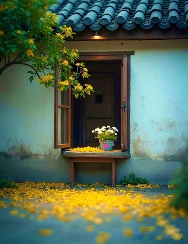 🦋 Nilgün 🦋 tweet media