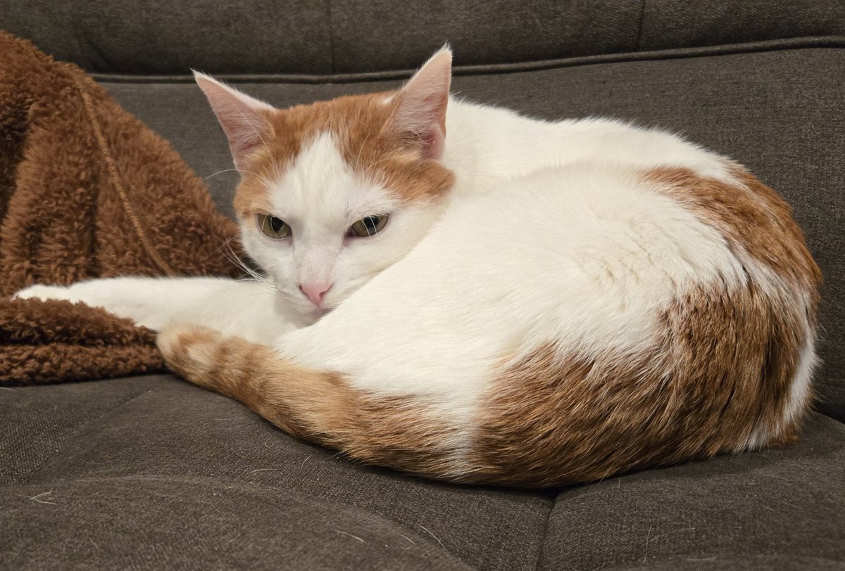 Busy Boy Floyd tweet media