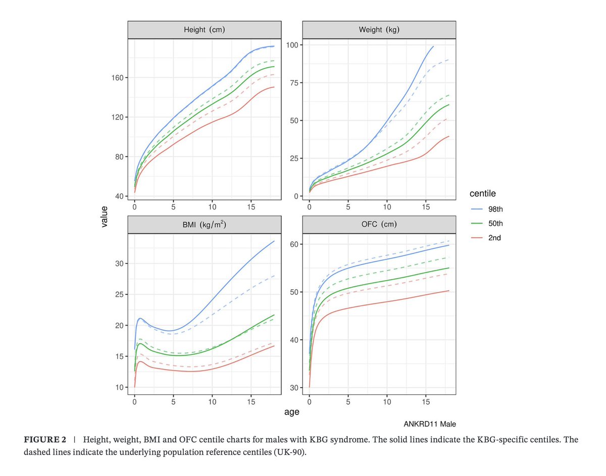 KBG Foundation tweet media