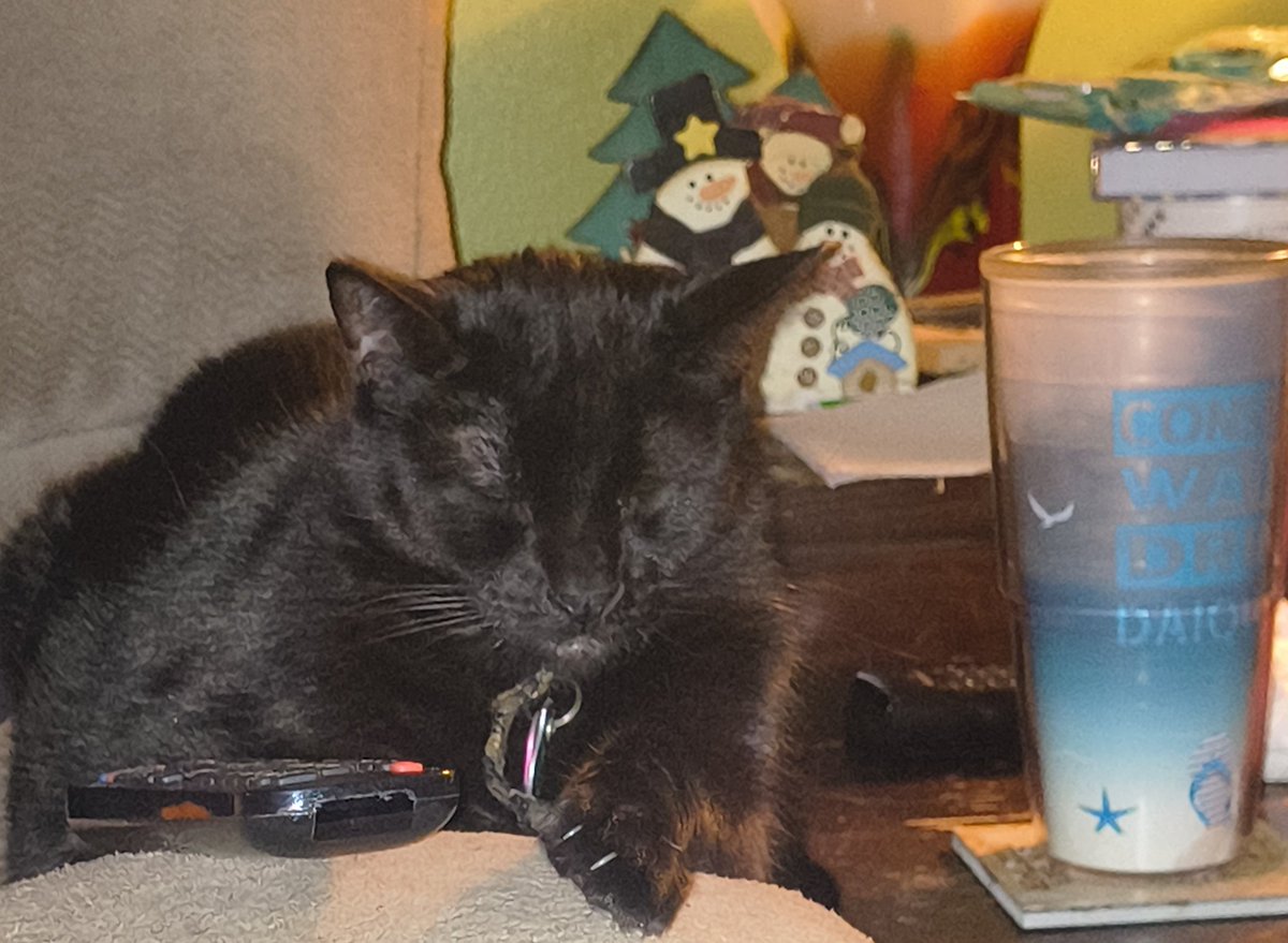 chow_cloud's tweet image. #voidkitty just going to Netflix and chill maybe 🤔