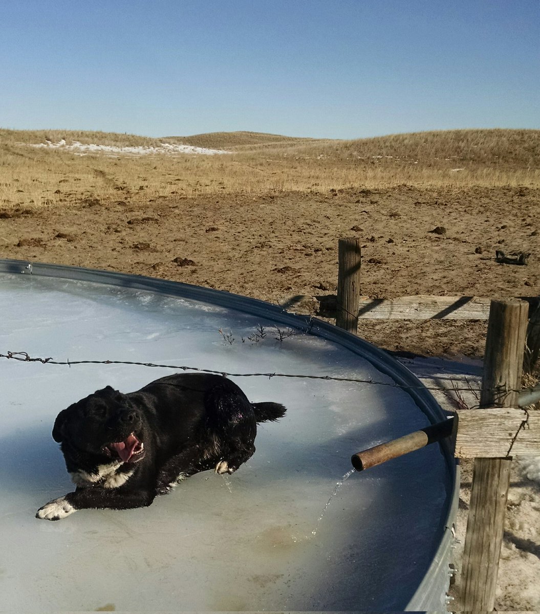 Barbara Cooksley tweet media