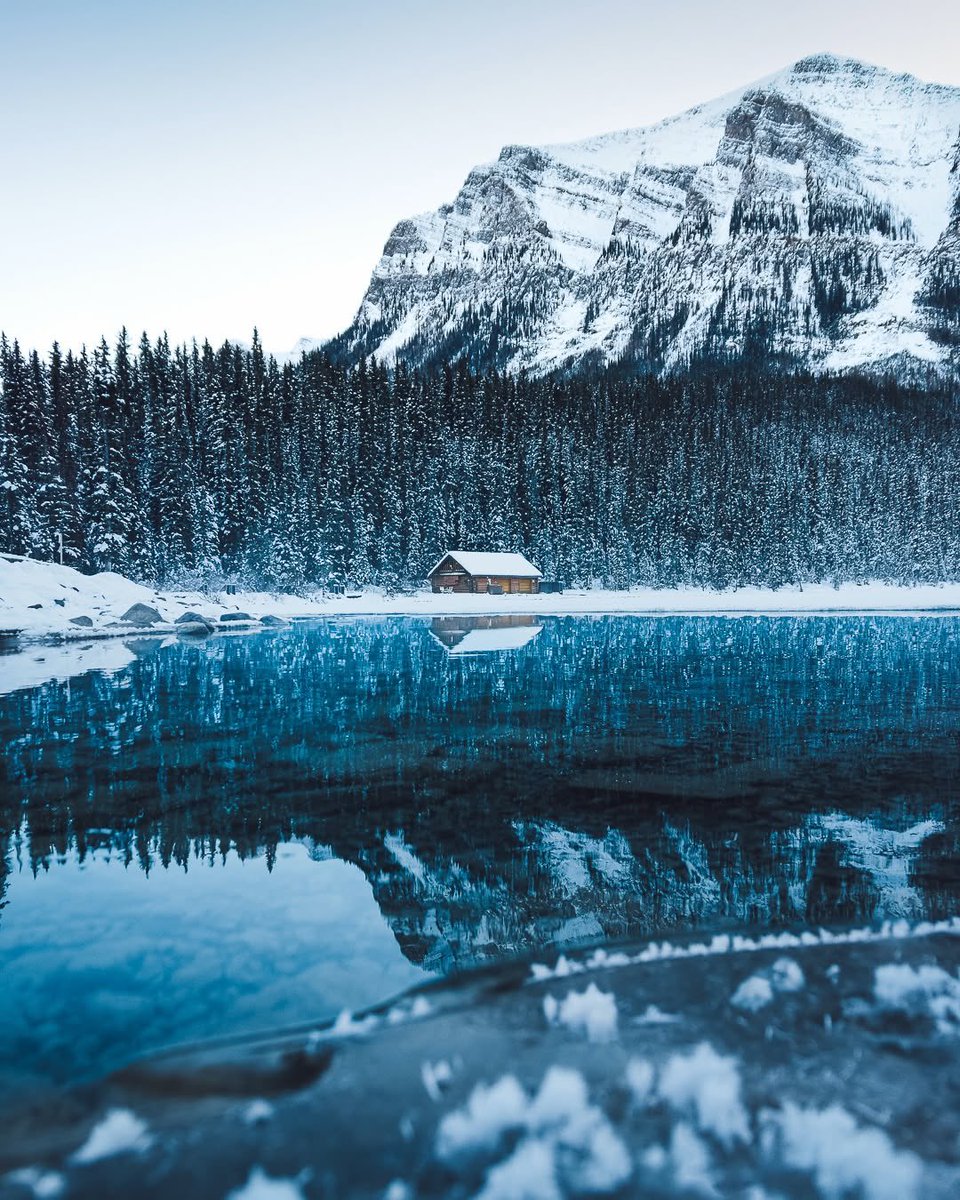 Made In Canada tweet media