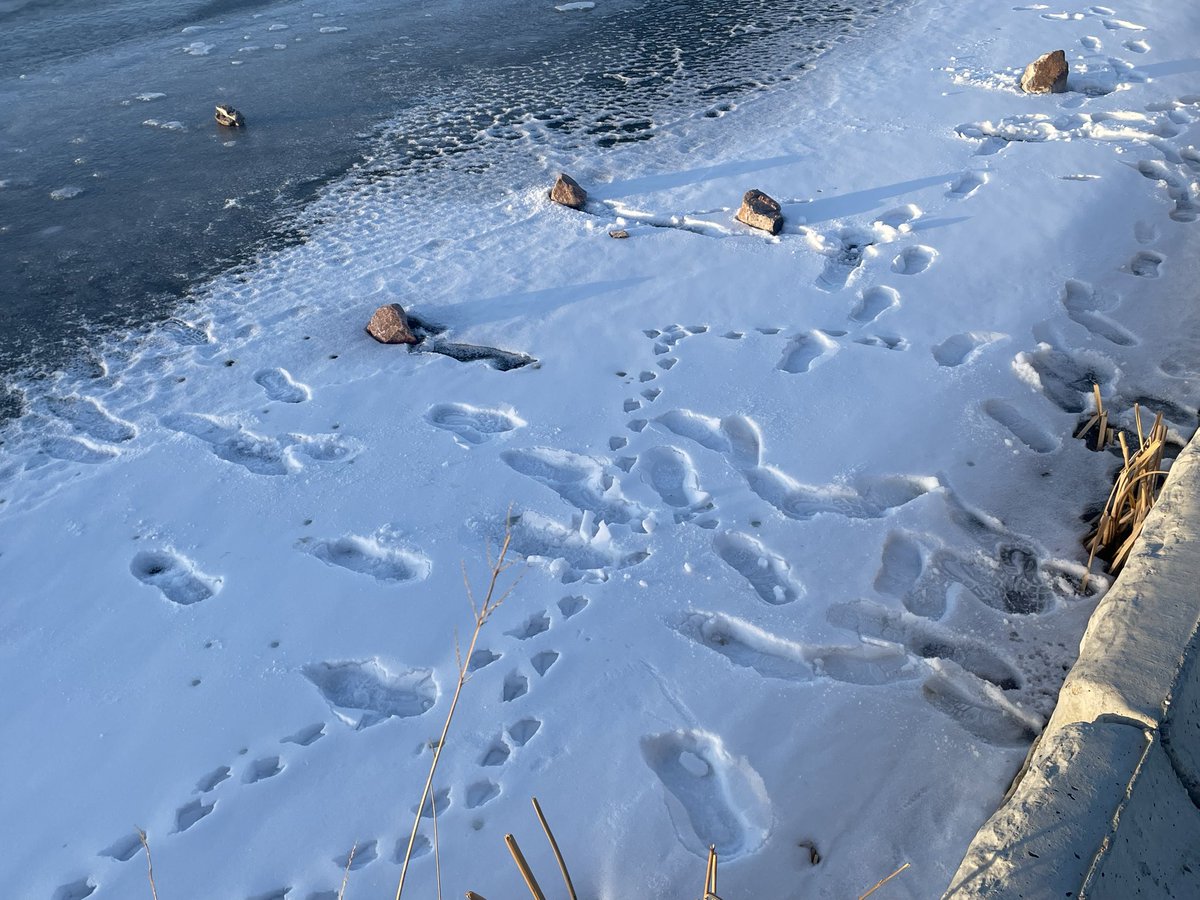 CSFDPIO's tweet image. #ColoradoSpringsFire 3628 Greenways Main Blvd at 4:21 pm, E17 responded to a 13 year old that fell thru ice on a pond. The child was quickly pulled out by bystanders. The child is ok and was treated on scene and is with mom. This is a serious warning that our warm temps have