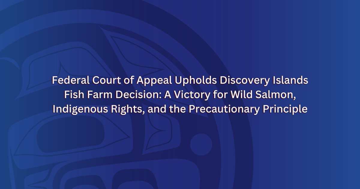 UBCIC's tweet image. "The Court’s decision recognizes that protecting this corridor is essential to the survival of wild salmon and to the cultures, food systems, and laws of our peoples. This is a critical step forward in the fish farm transition process." Chief Dalton Silver ubcic.bc.ca/federal_court_…