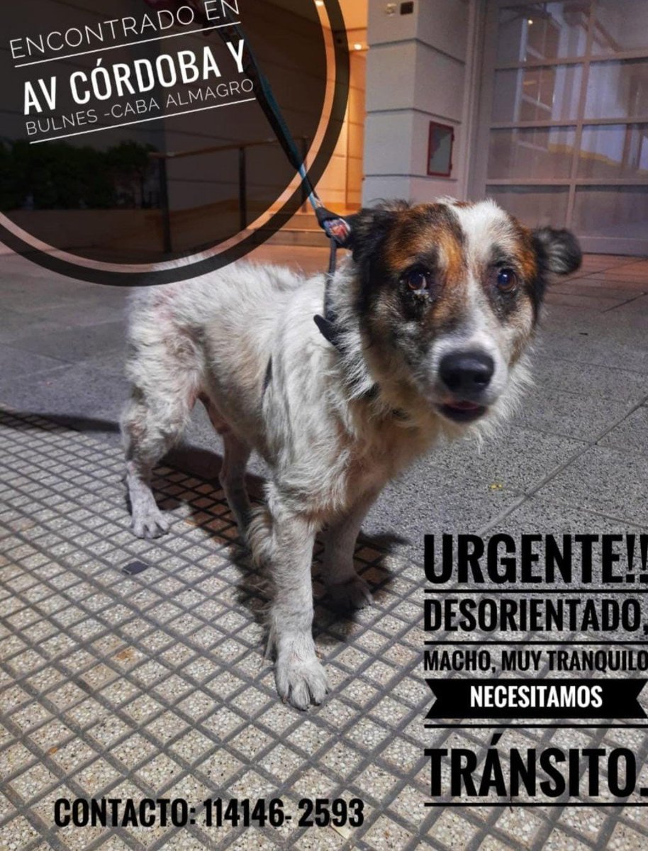 Adrián Kolszyc (@polaco_adrian) on Twitter photo 