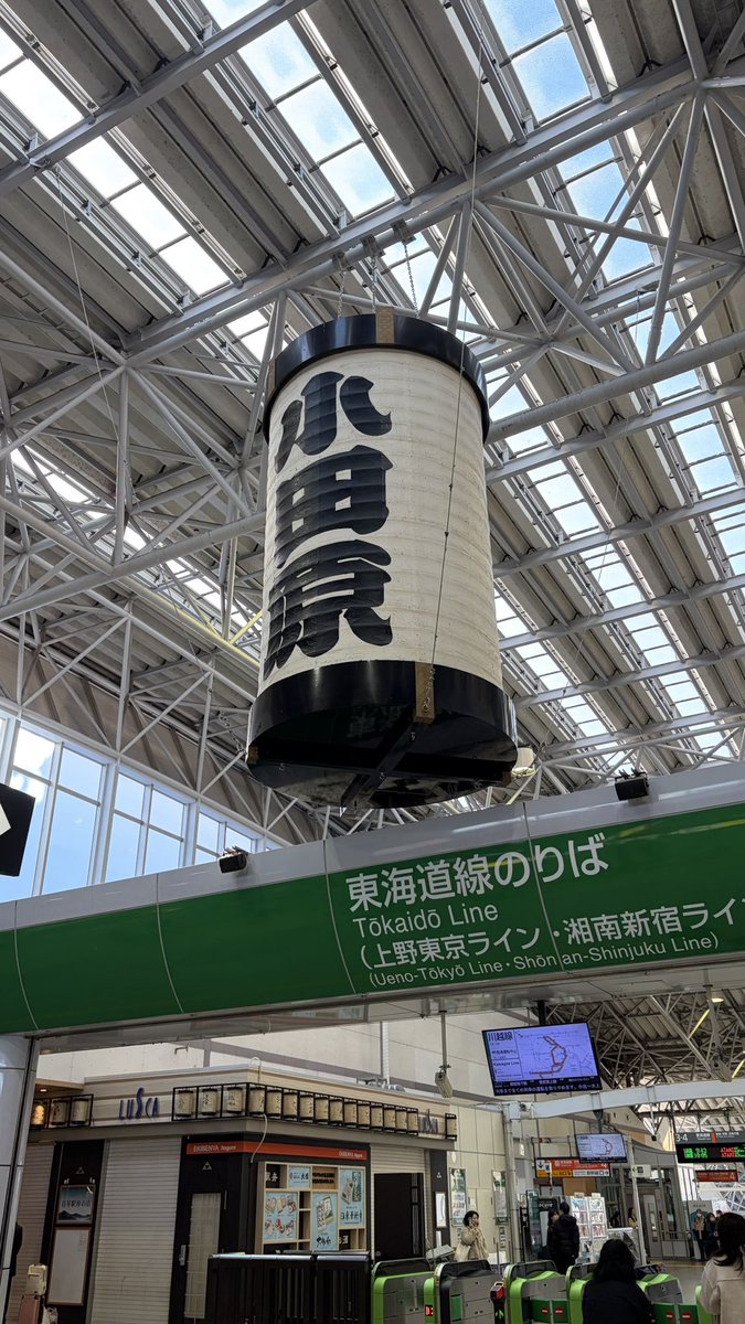 やっしー (@yasshi2525) / Posts / X