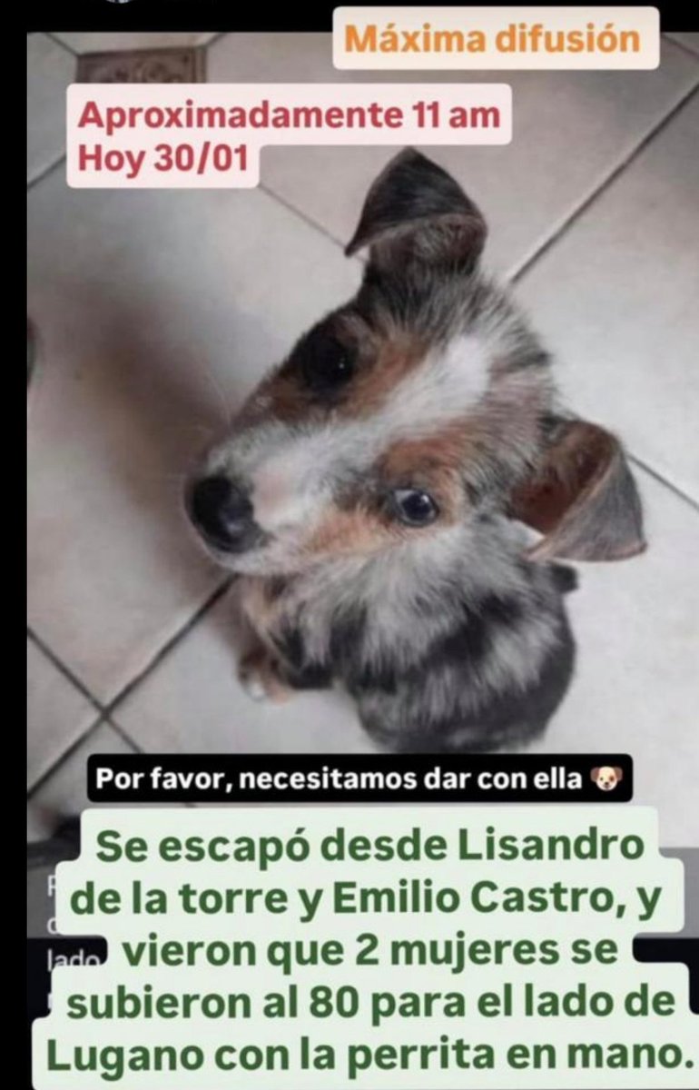 polaco_adrian's tweet photo. https://t.co/qykEHTUFtO