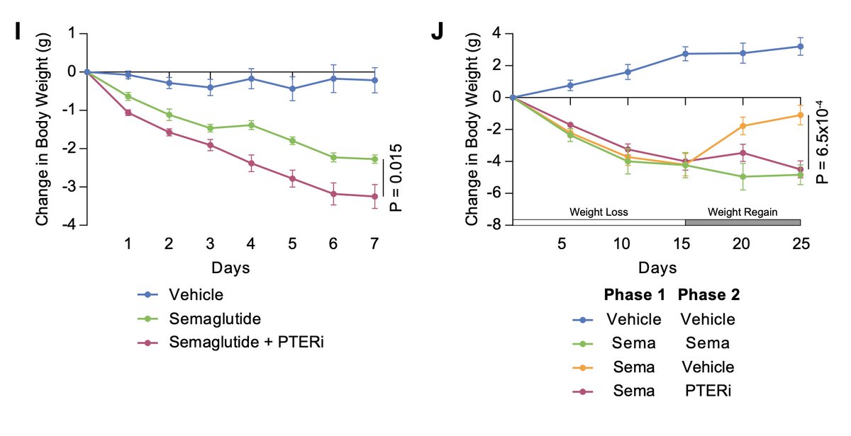 Long Lab tweet media