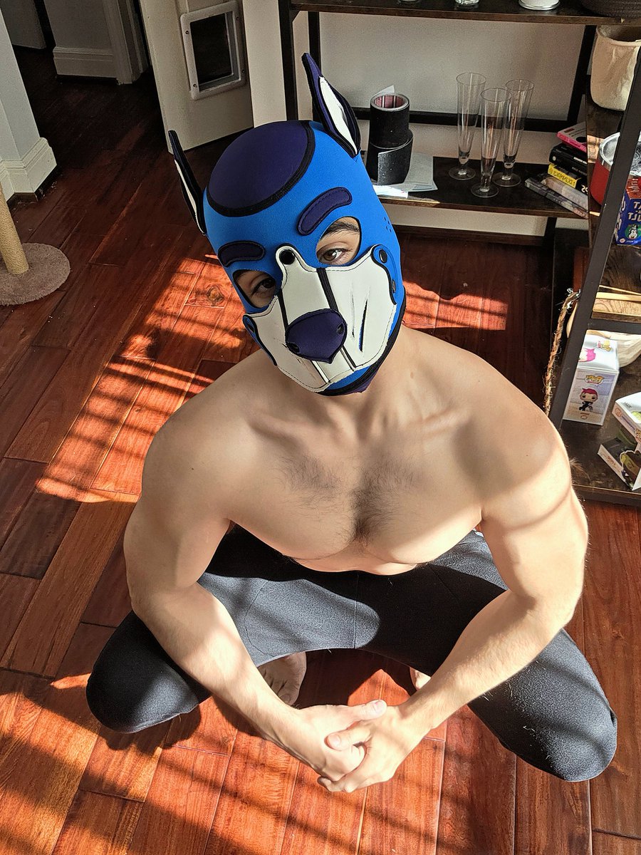 Mischief After Bork tweet media