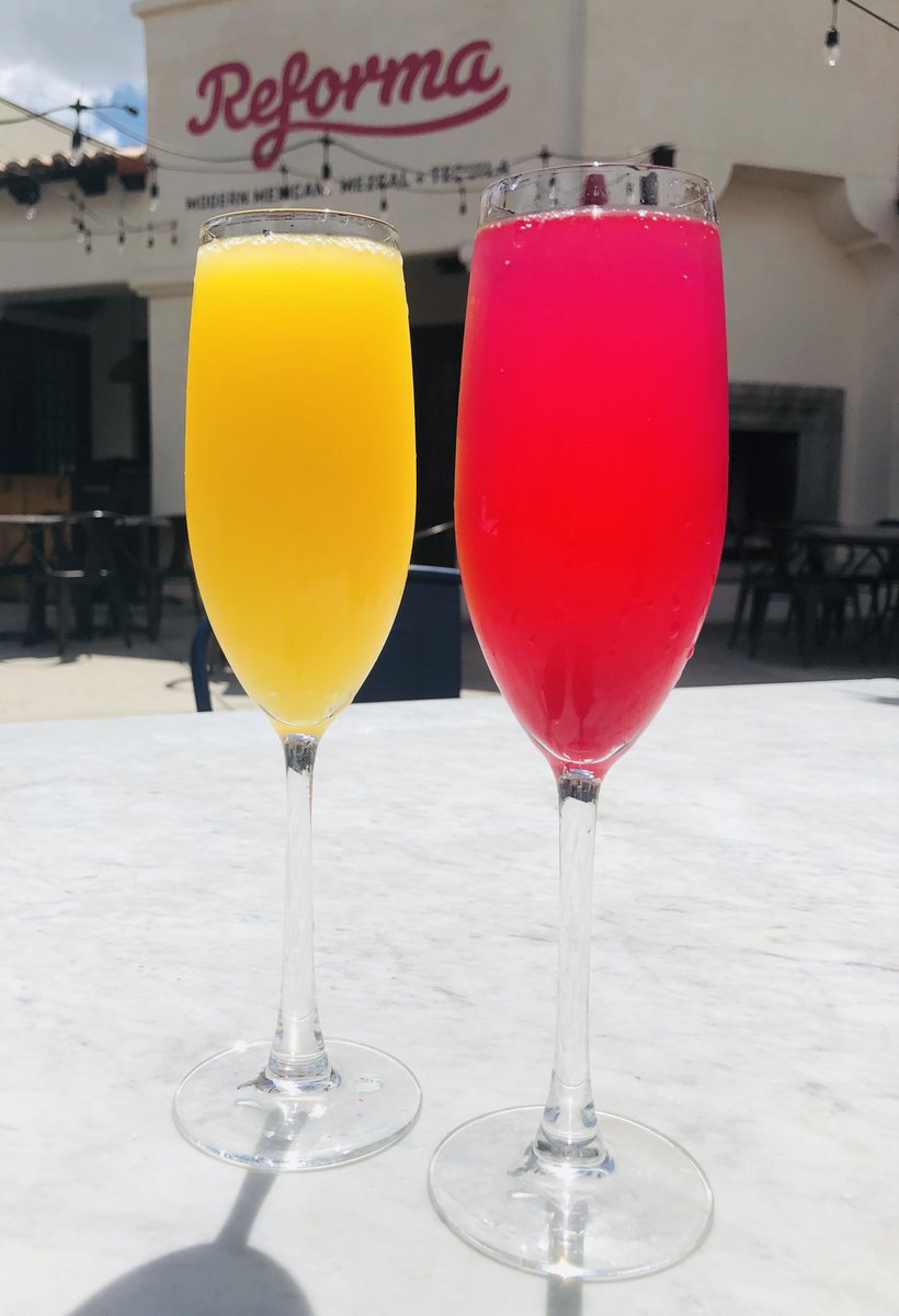 ReformaTucsonAZ's tweet photo. Sunday brunch at Reforma Modern Mexican: $30 bottomless mimosas + penny refills, 10 AM–3 PM. #Brunch #SundayBrunch #Mimosas #BottomlessBrunch #Tucson #ReformaTucson #Foodie #BrunchGoals https://t.co/OSZr7sXHo4