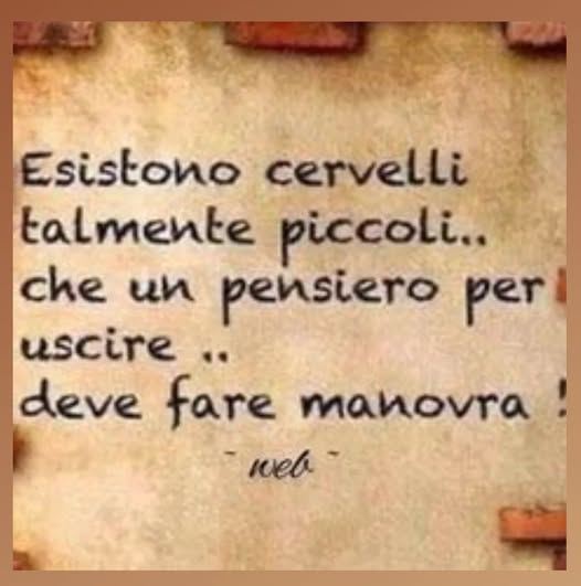 anna maria moscarell tweet media