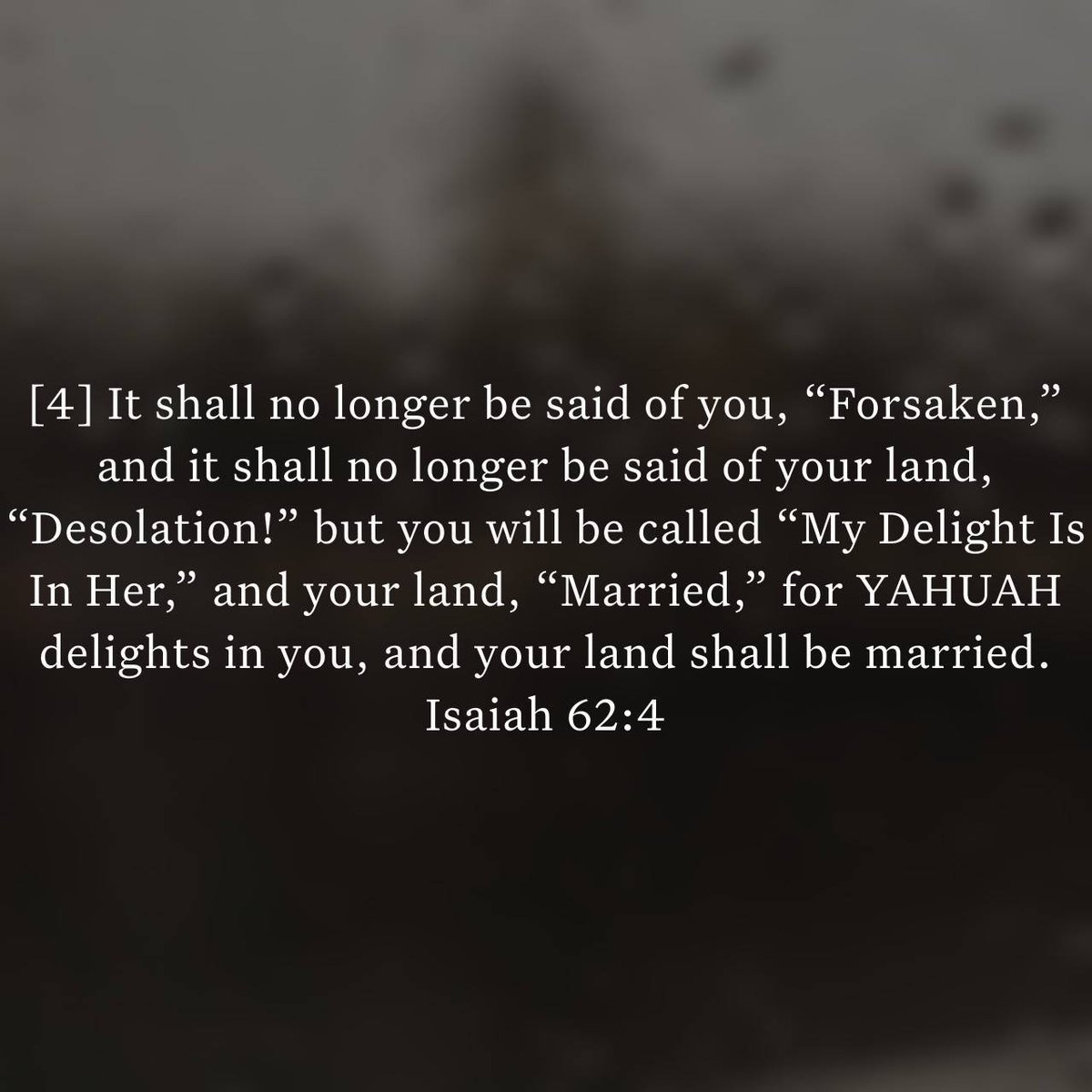 YISRAEL has NOT been cleansed of INIQUITY/GUILT.

Ezekiel 36:33-36
[33] ‘Thus says the Lord YAHUAH: “On the day that I cleanse you from all your iniquities, I will also enable you to dwell in the cities, and the ruins shall be rebuilt.
[34] The desolate land shall..

Isaiah 62:4