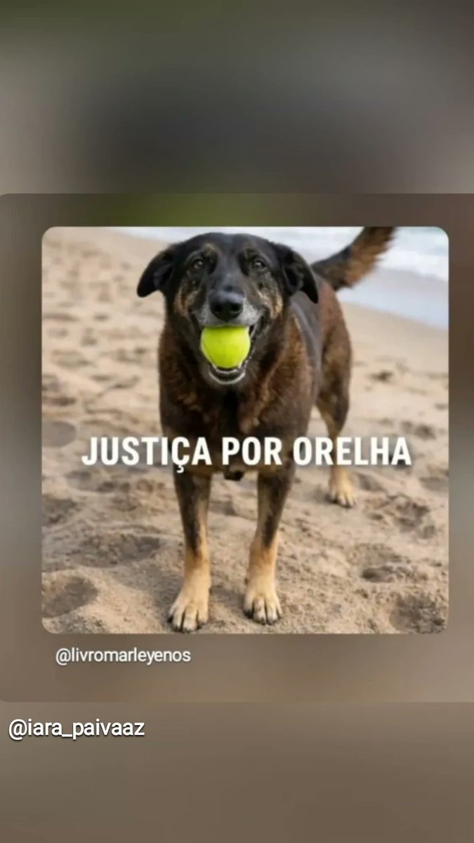 iarapai50816720's tweet photo. #federalizacaodocasoorelha #justicapororelha https://t.co/zslSsDsikH