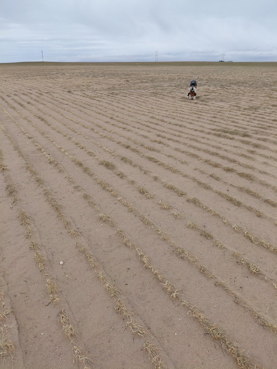 Jim Diamond tweet media