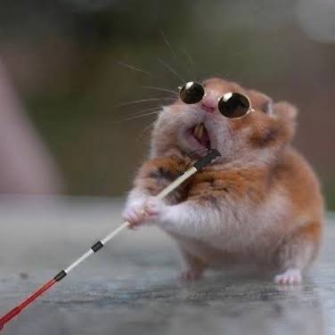 Los descendidos cuando juega su asqueroso club