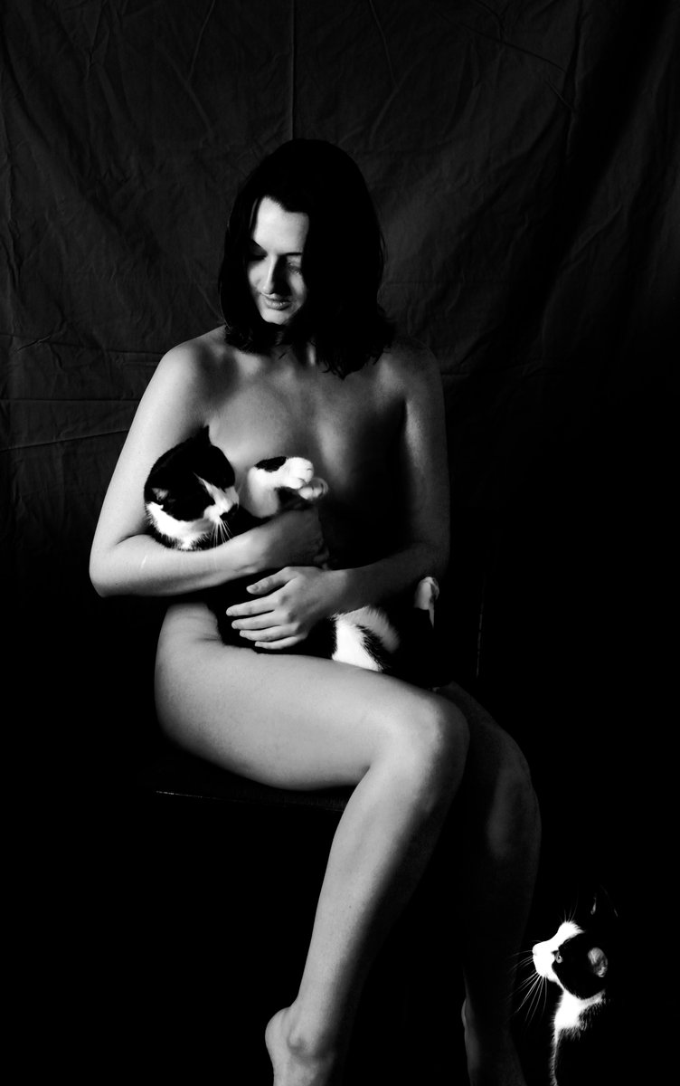 Aida_Studios tweet media