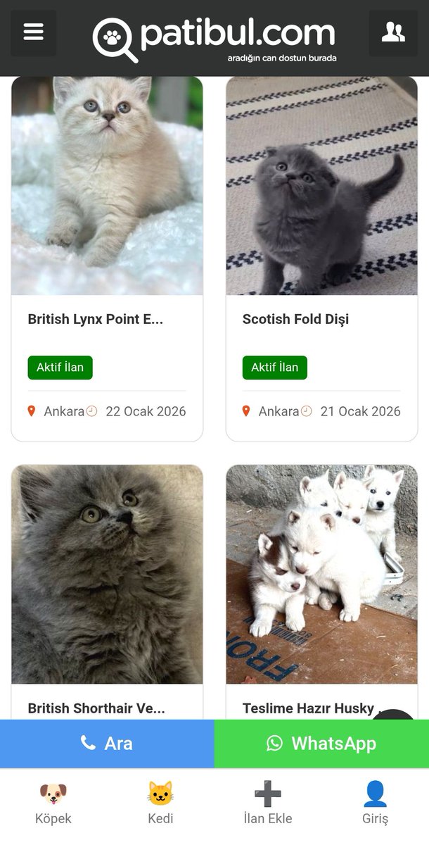 böyle bi site gördüm bildiğin kedi köpek satıyorlar? bi de bu tek hesap şerefsiz evlatları agziniza sicayim sizin ya