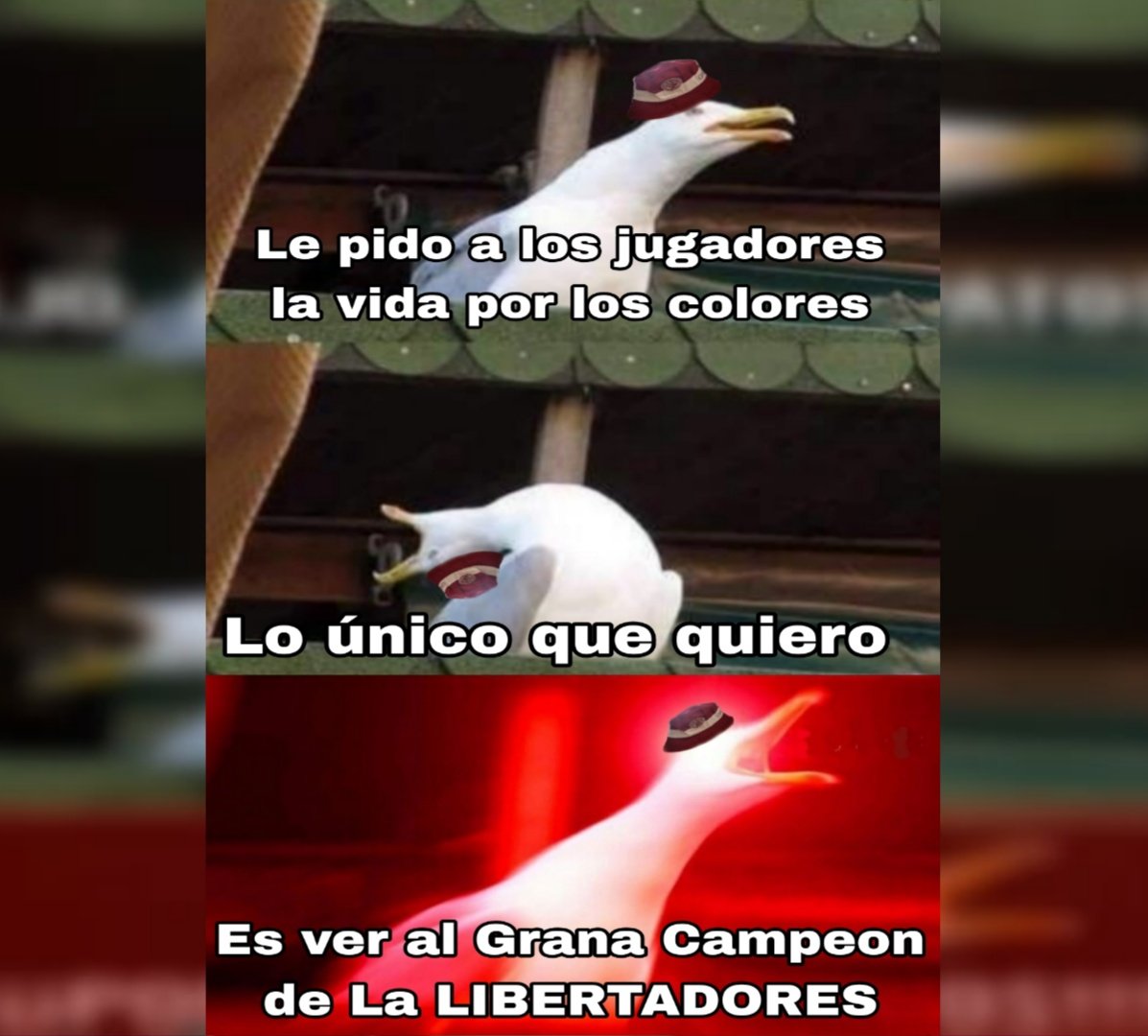 🙏🏻🇱🇻❤️