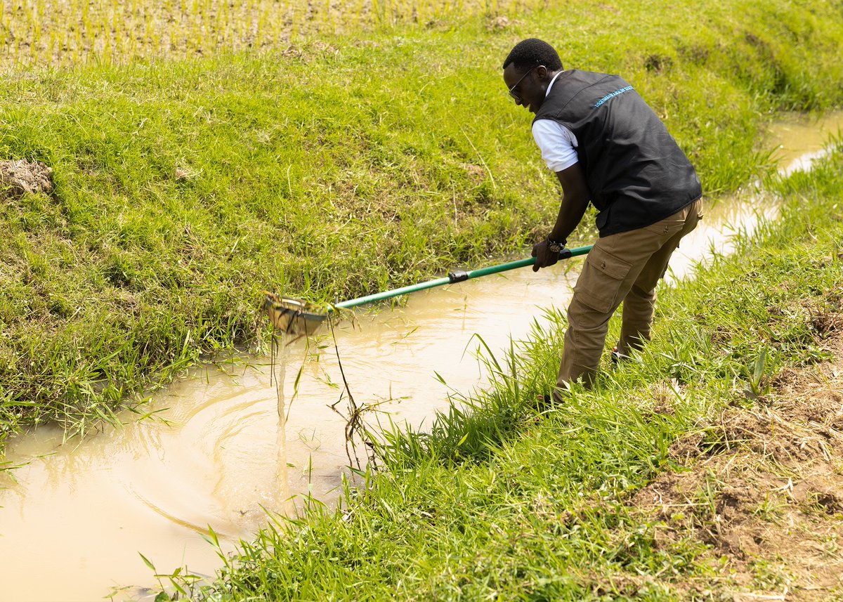 WHO Rwanda tweet media