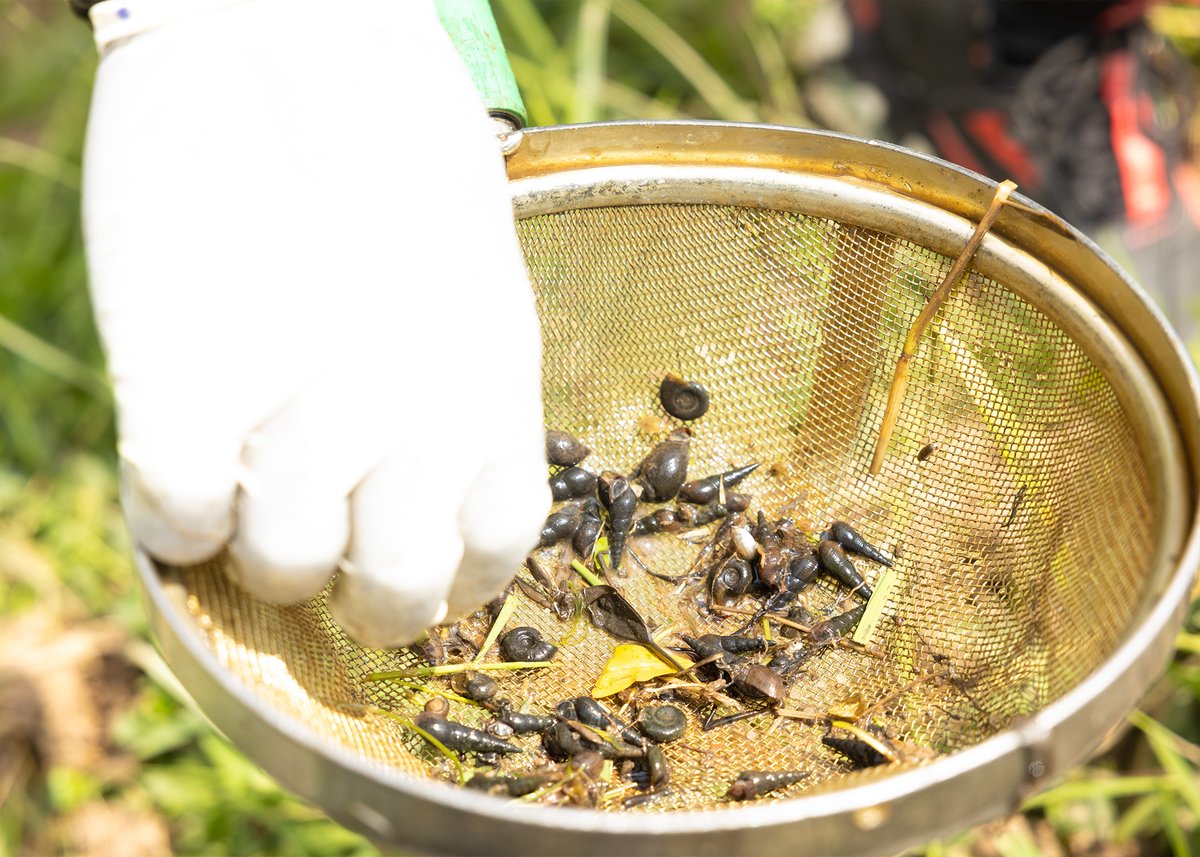 WHO Rwanda tweet media