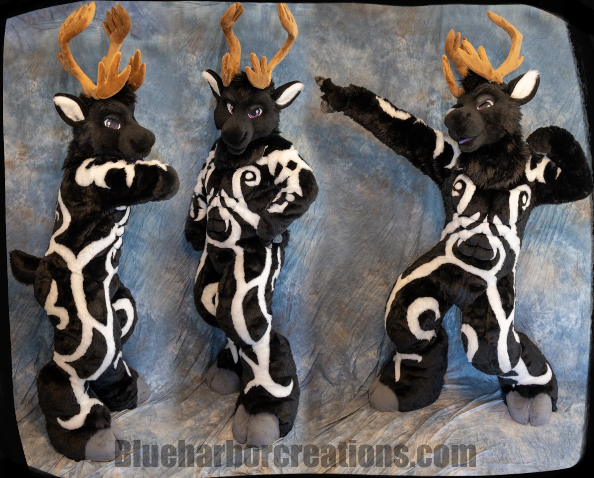 Blue Harbor 🌊⚓️ tweet media