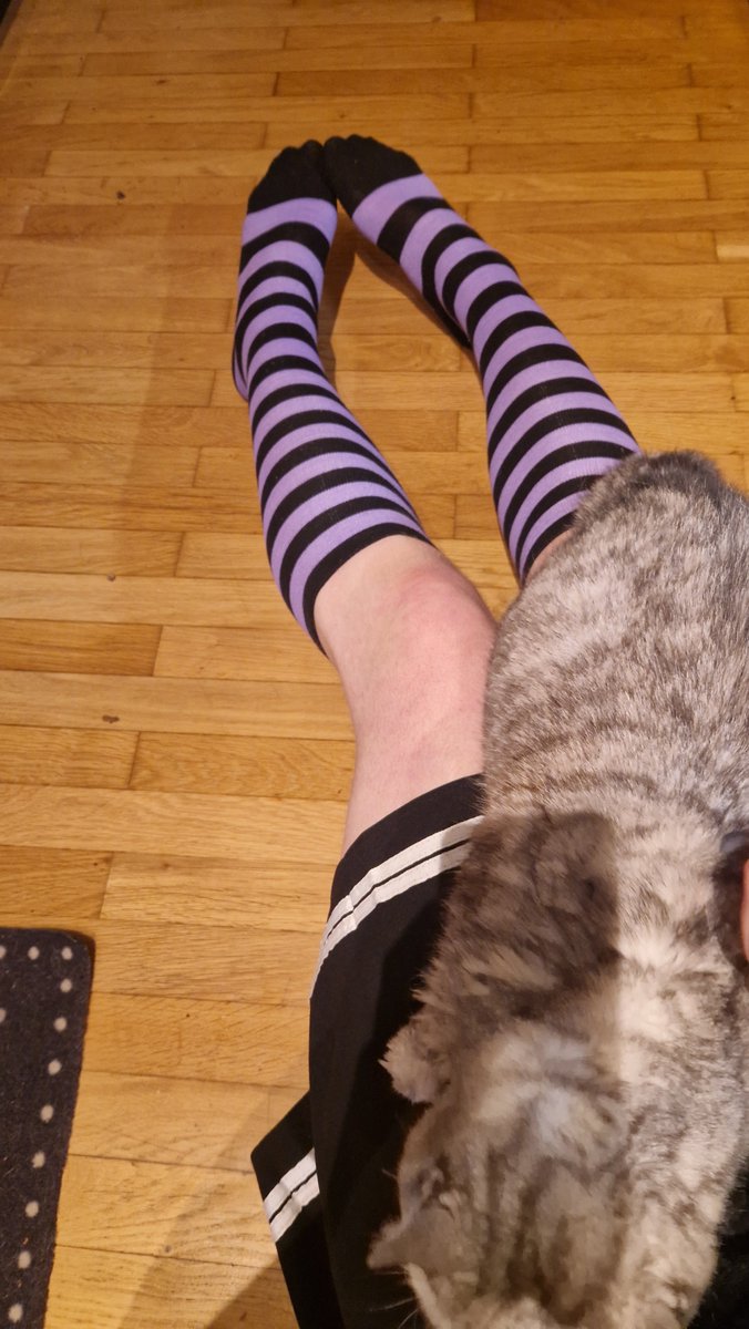 LycheeCoon tweet media