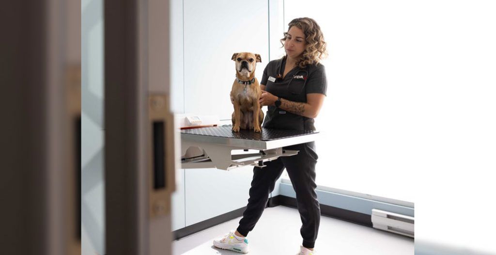 VCA Canada proudly secures a spot on Alberta’s Top Employers 2026 list for the third year, highlighting its commitment to employee well-being and outstanding pet care. veterinarypracticenews.ca/vca-canada-ear…