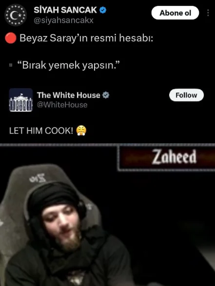 snowl tweet media