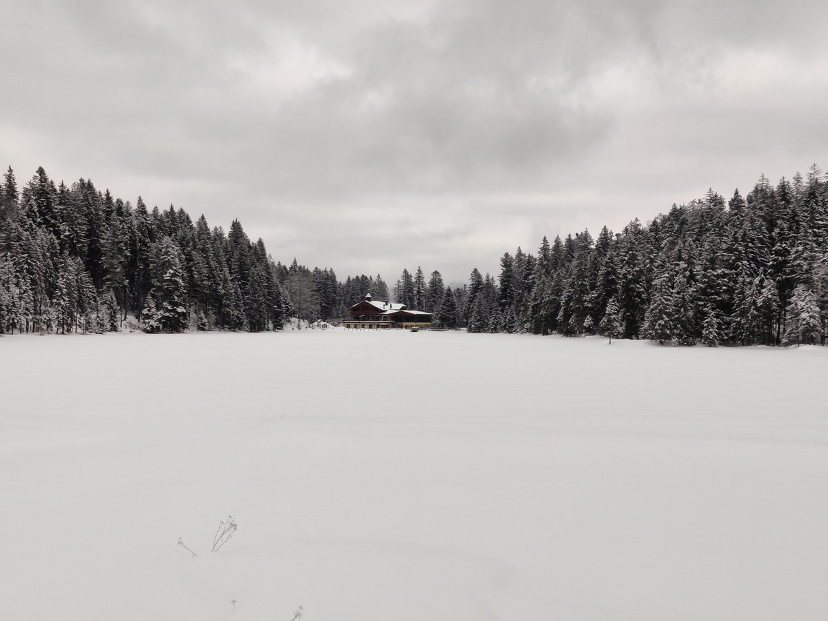 Der "Große Arber See":
Es ruht der See im Wintermantel. Still, fast so als wenn er warten würde.
Bedrängt von Bäumen, die ihm scheinbar keinen Platz lassen. Die Kälte zwingt ihn zurück. Aber wehe - der Frühling kommt! Die Vögel kündigen es an. Erweckt  in ihm die ganze Kraft.