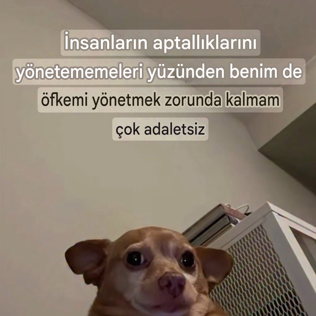 ANLIK (@anlikmod) on Twitter photo 