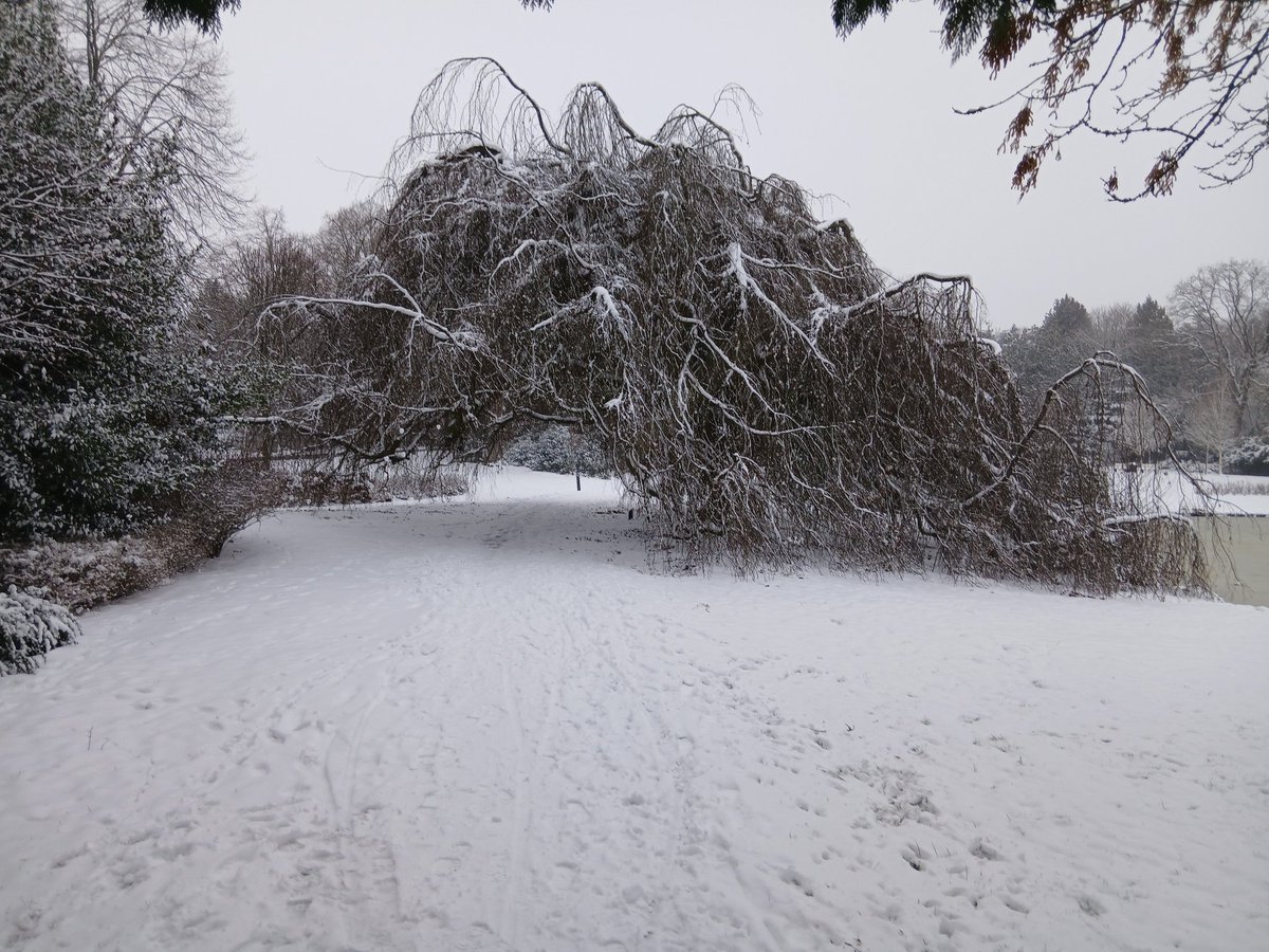 Roelf Koning tweet media