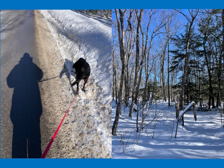 Jim Feenstra tweet media