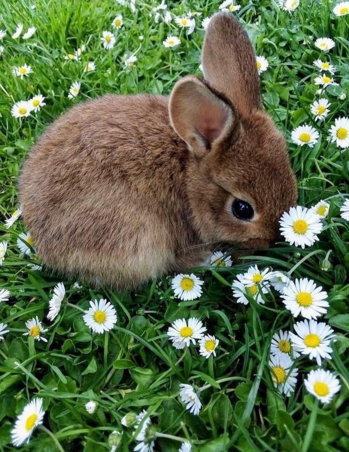 ᅠ ᅠ (@greendreaams) on Twitter photo 