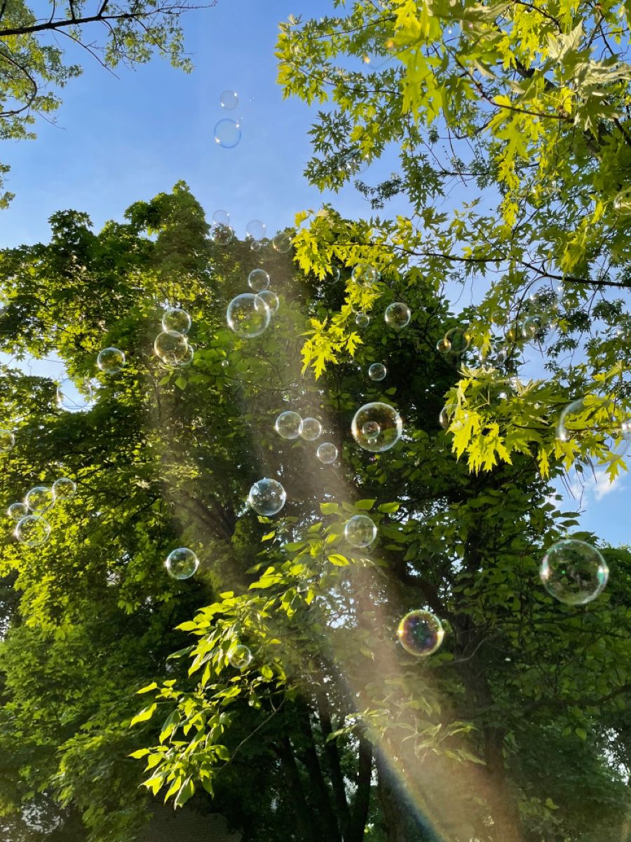 greenvibe's tweet image. 