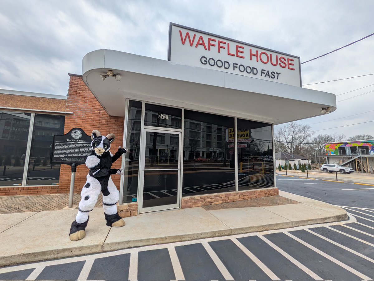 Envy! 🐏🔜 MFF tweet media