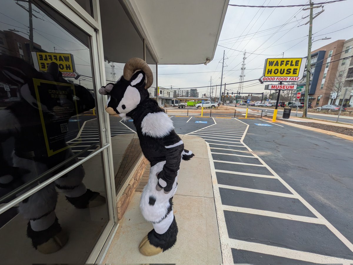 Envy! 🐏🔜 MFF tweet media