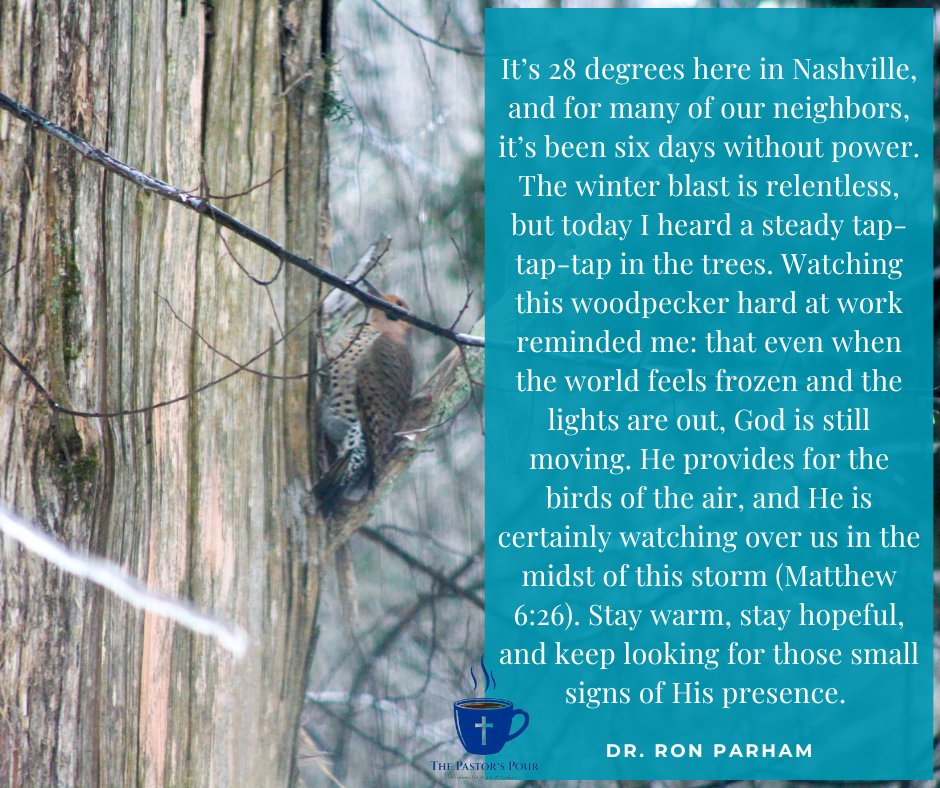 Ron W. Parham, Ed.D tweet media