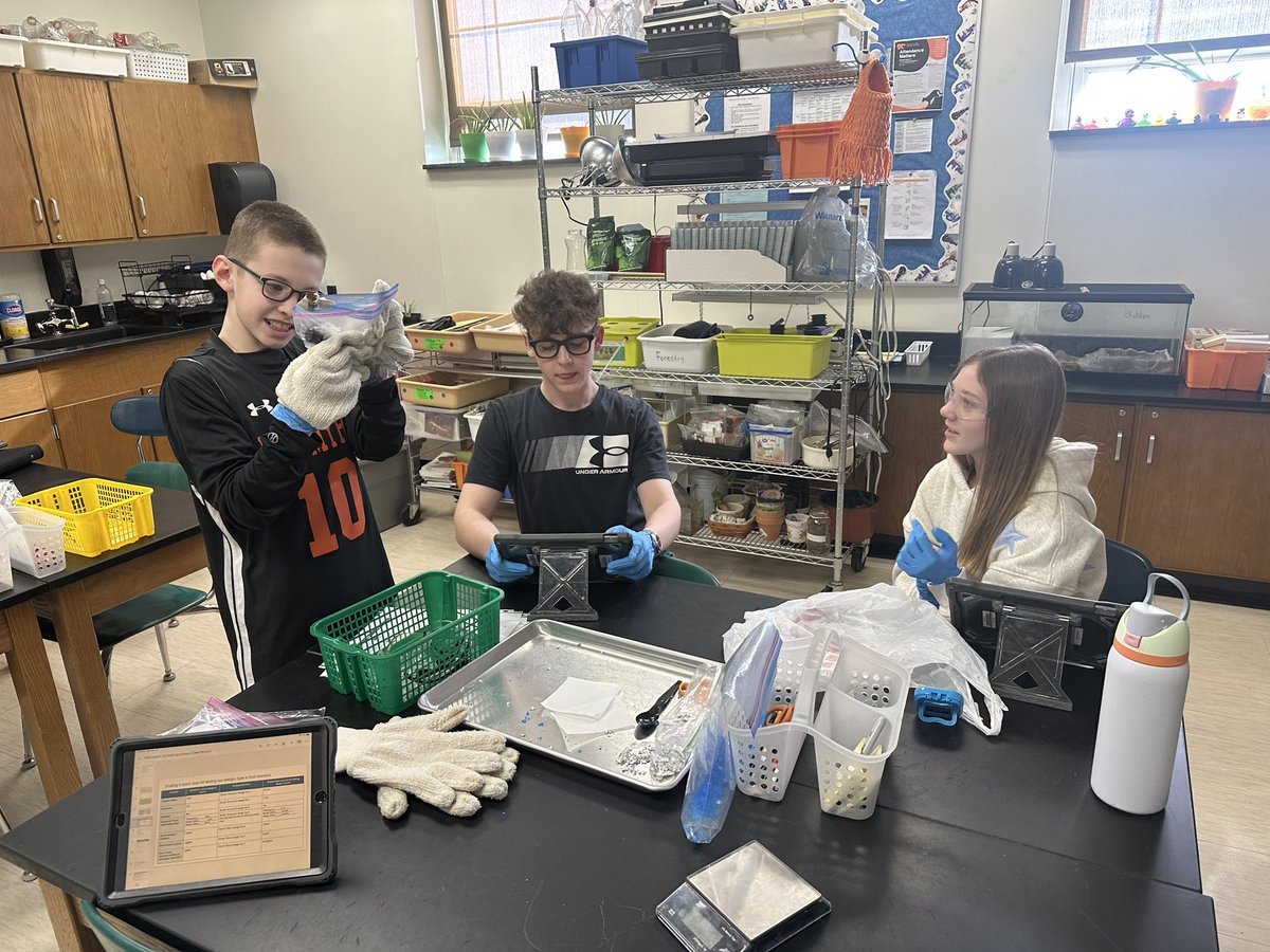 Amanda Deibert tweet media