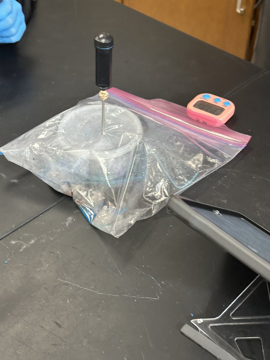 Amanda Deibert tweet media