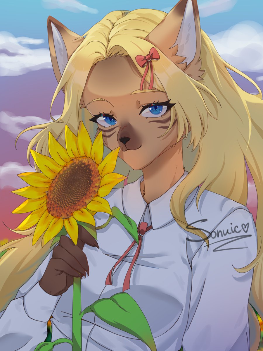 Shunpo Kat tweet media