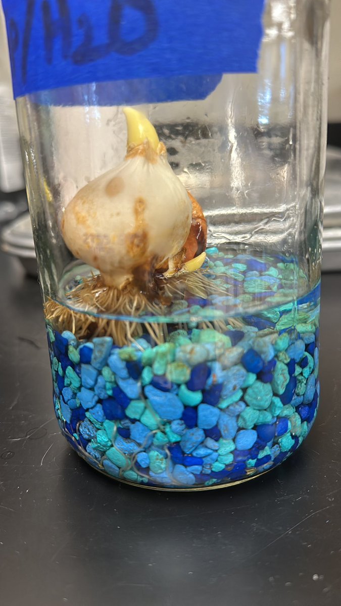 Amanda Deibert tweet media