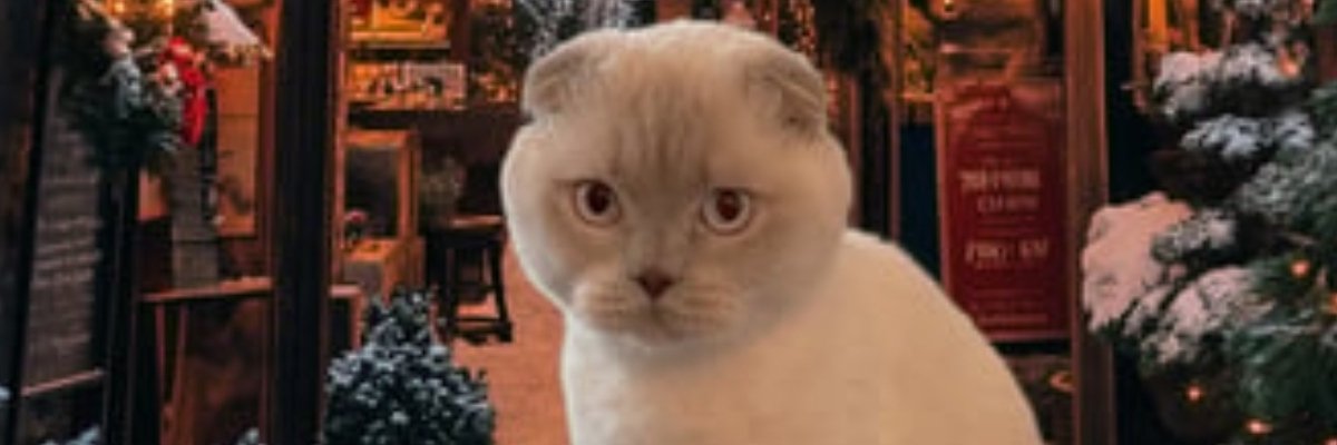 Don't fade this cat!