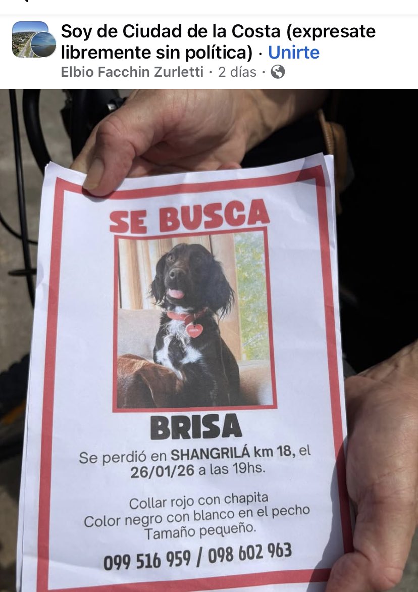 Adriana (@adriana43587622) on Twitter photo 