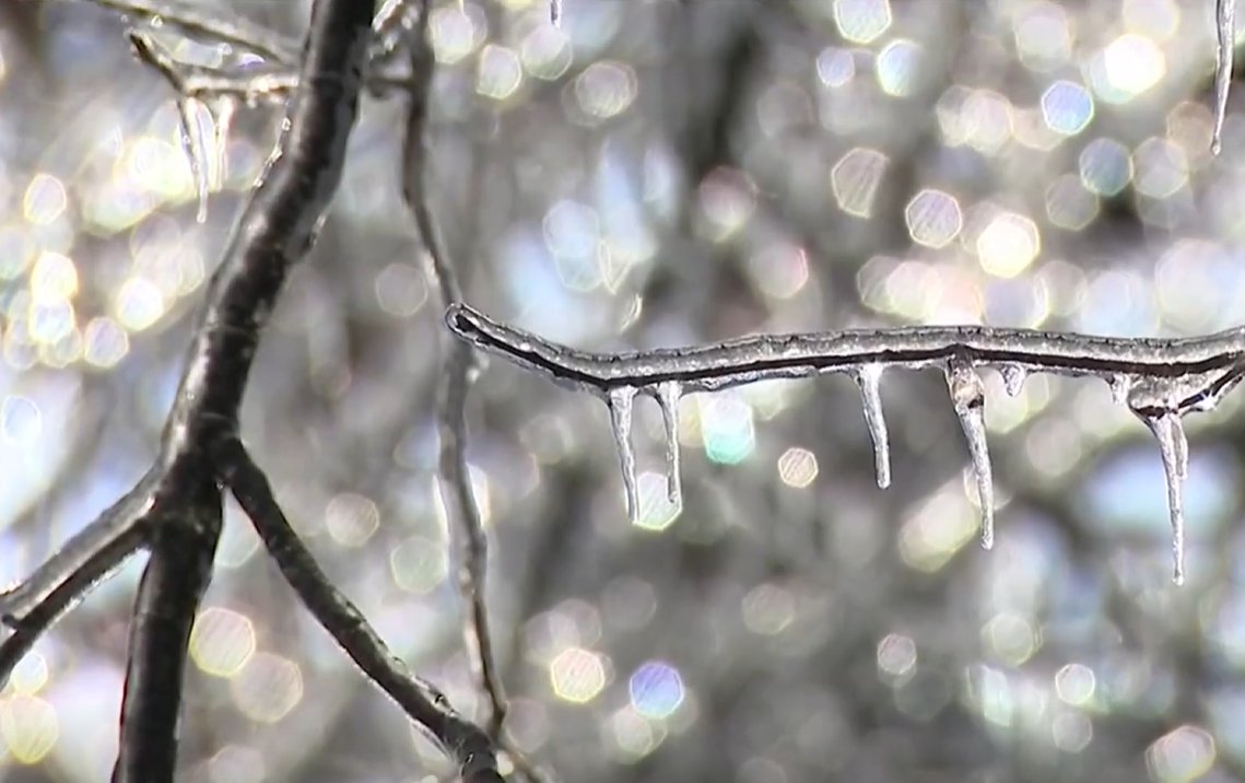 REST IN PEACE 🕊️ Four Nashvillians who lost their lives to suspected storm-related causes identified. bit.ly/4k6YMRb