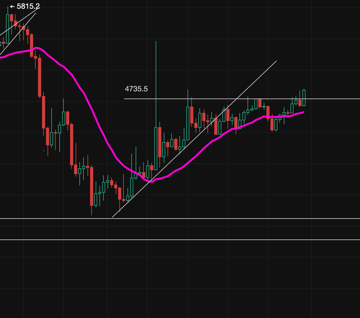 逍遥XTony tweet media