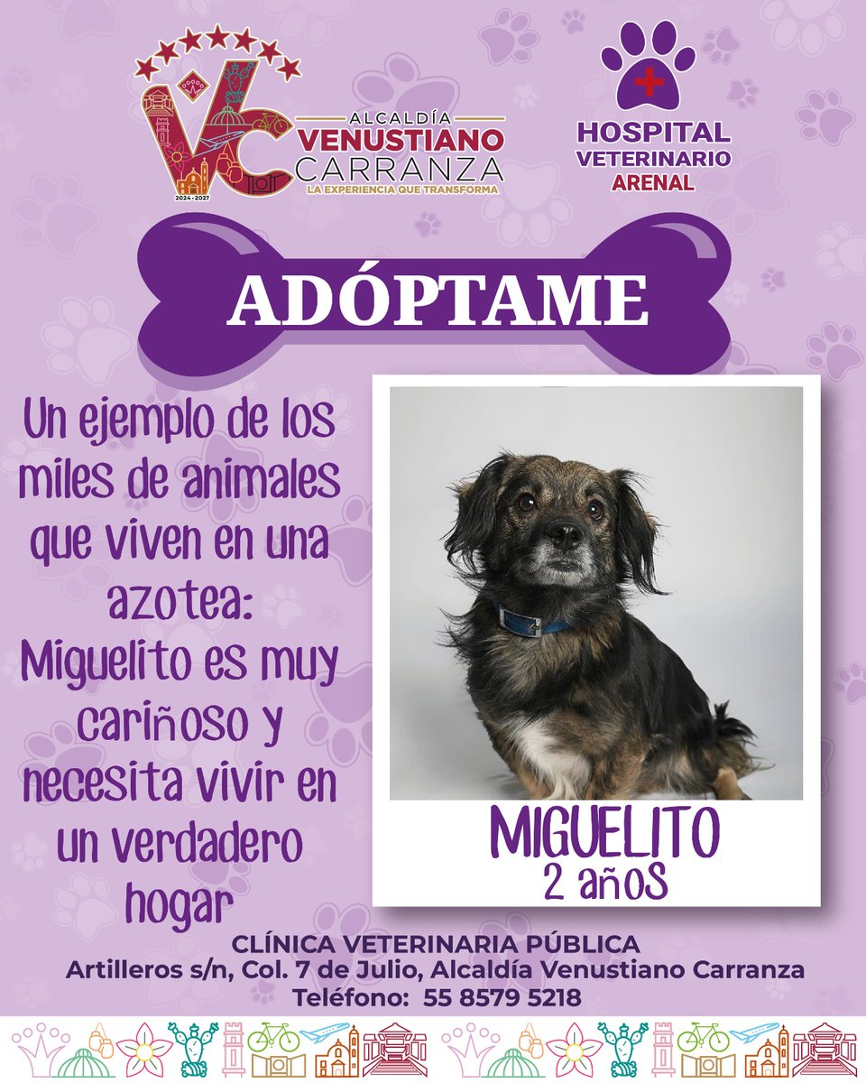 evelyn_parraA's tweet photo. Adoptar no es caridad, es carácter.
Es futuro. Es valores. Es comunidad.
Si tu casa tiene espacio, tu corazón también.
Hazlo bien. Hazlo con conciencia. Hazlo con amor. Hospital Veterinario Arenal
#AdóptameVC #VenustianoCarranzaConValores #AdoptaNoCompres https://t.co/aONikUrZ0X