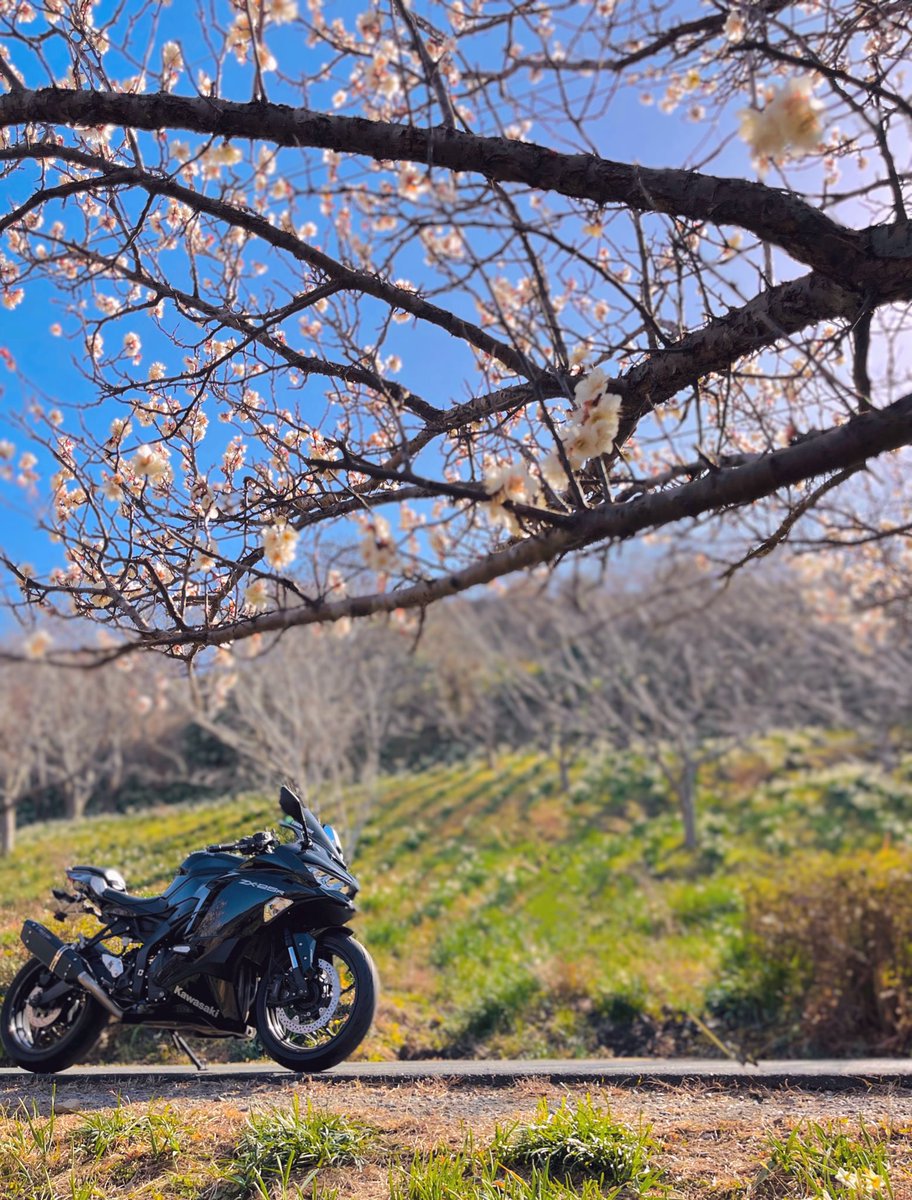 今日はお久しぶりの方々と 秩父方面へ🏍️🏁 楽しい週末になりますよう