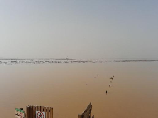 MedWet Managers Network tweet media