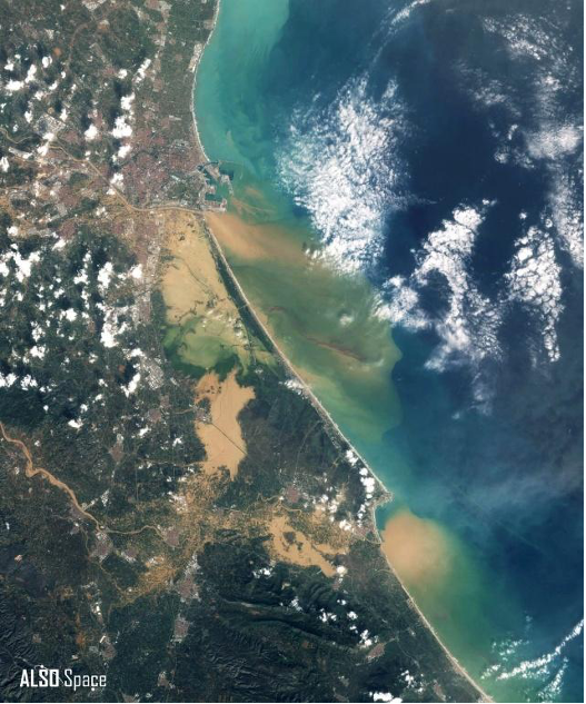 MedWet Managers Network tweet media