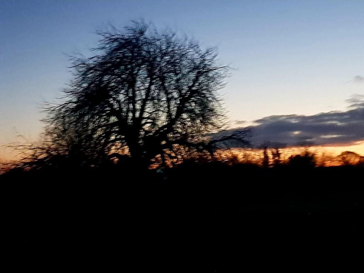 William H L Edgill tweet media